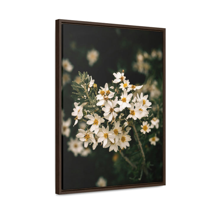 A Touch of White - Canvas with Frame