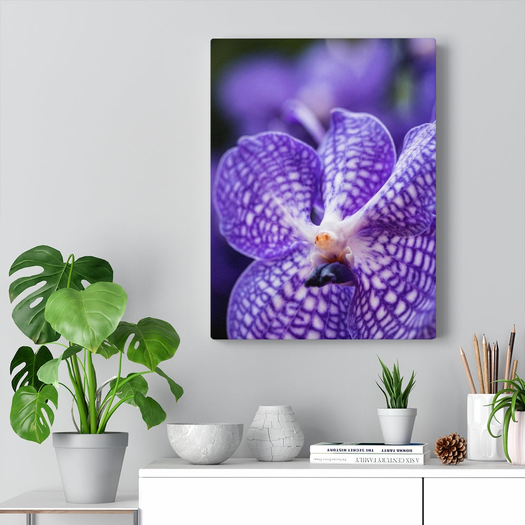 Orchid Detail - Canvas