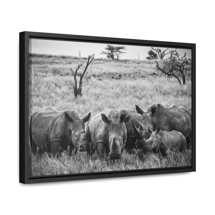 Rhino Family in Black and White - Canvas with Frame