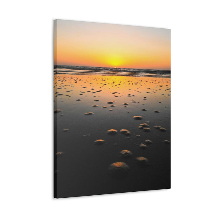 Burrows at Sunrise - Canvas