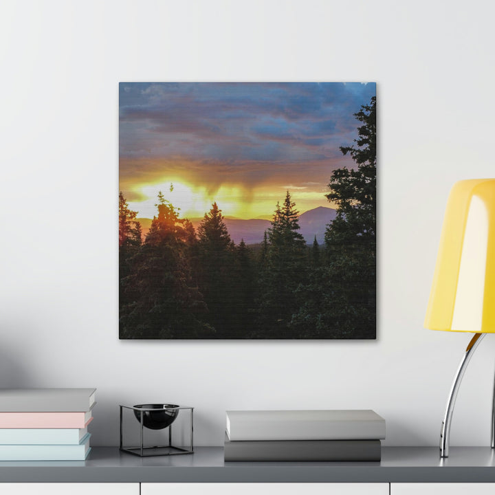 Rainy Sunset Through the Trees - Canvas