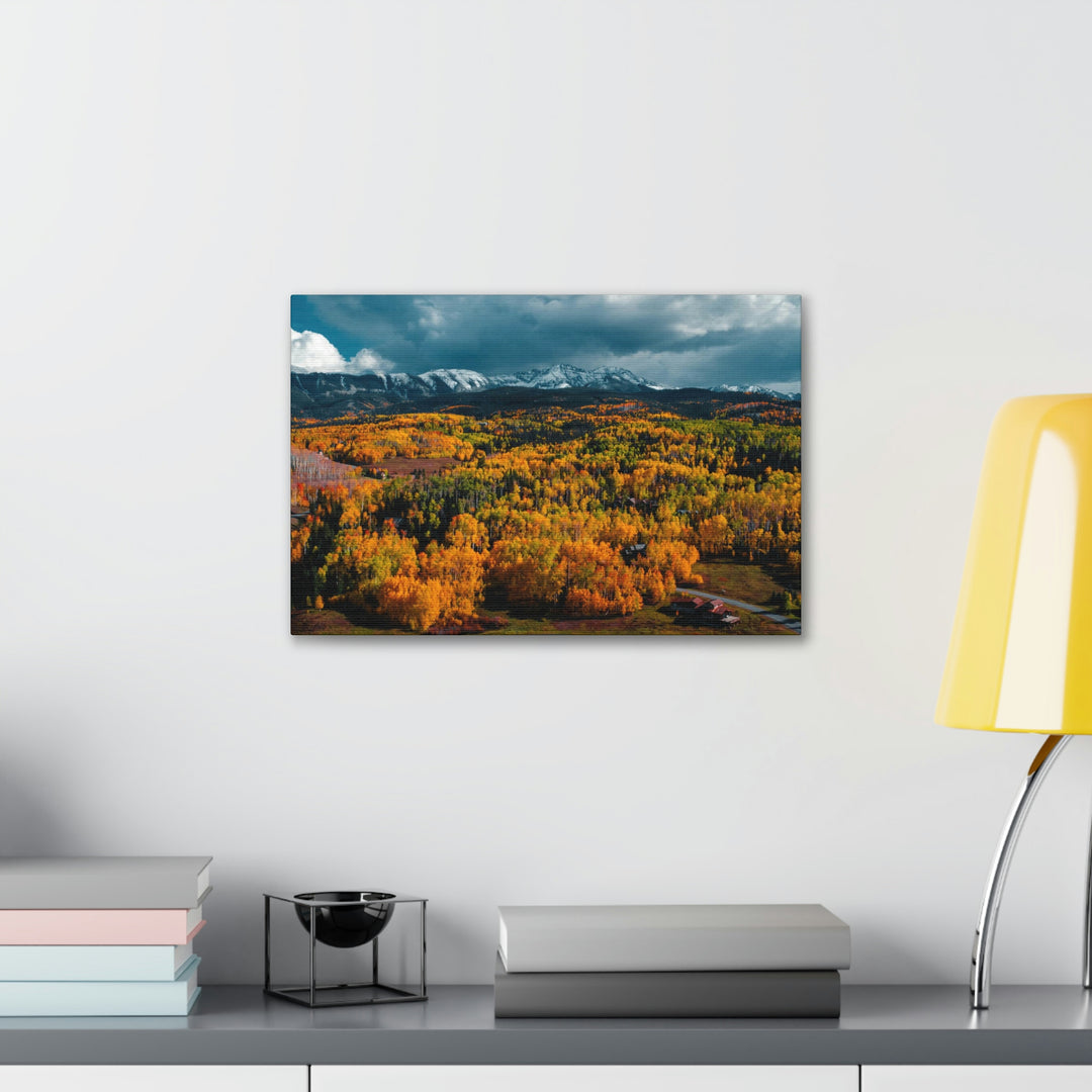 Golds of Autumn - Canvas