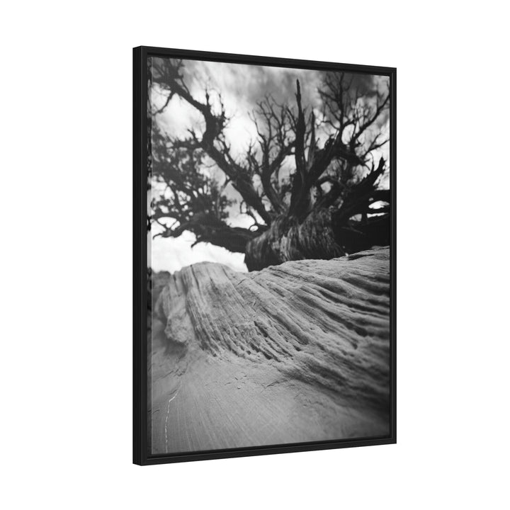 Desert Reach in Black and White - Canvas with Frame