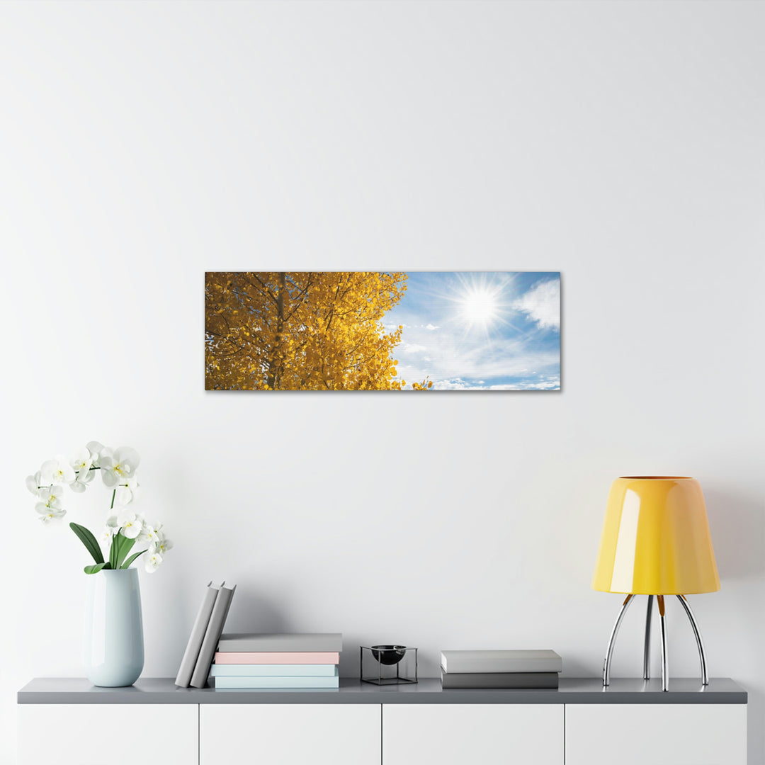 Golden Sunshine - Canvas