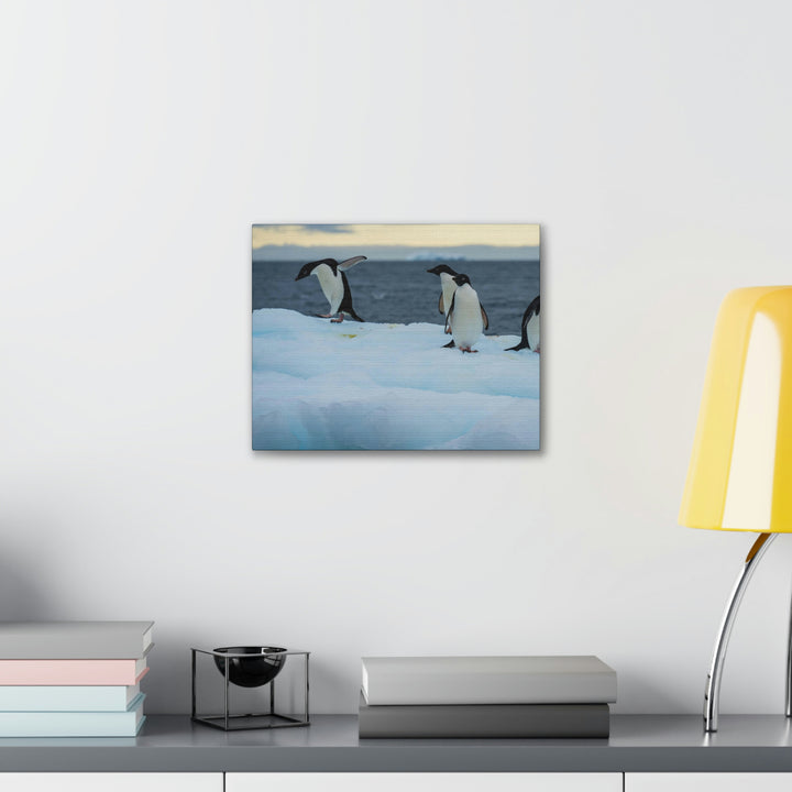 Penguin Dance - Canvas