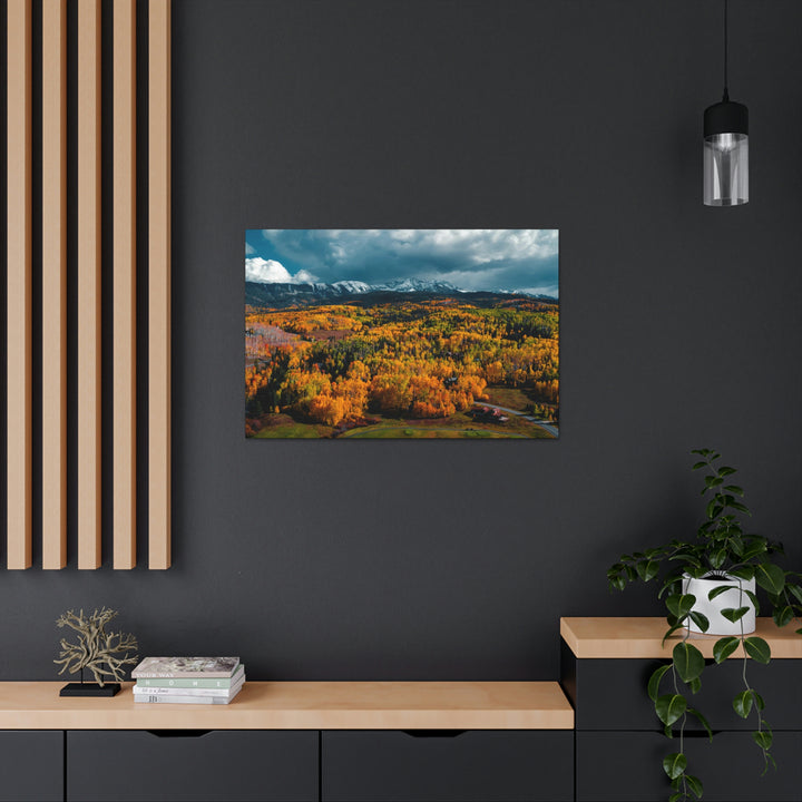 Golds of Autumn - Canvas