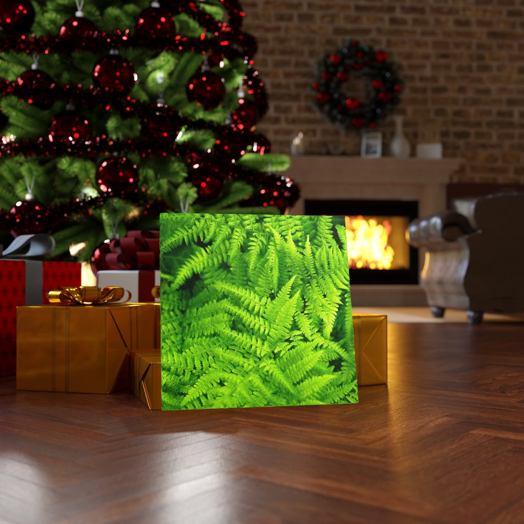 Ferns, Ferns, Ferns - Canvas