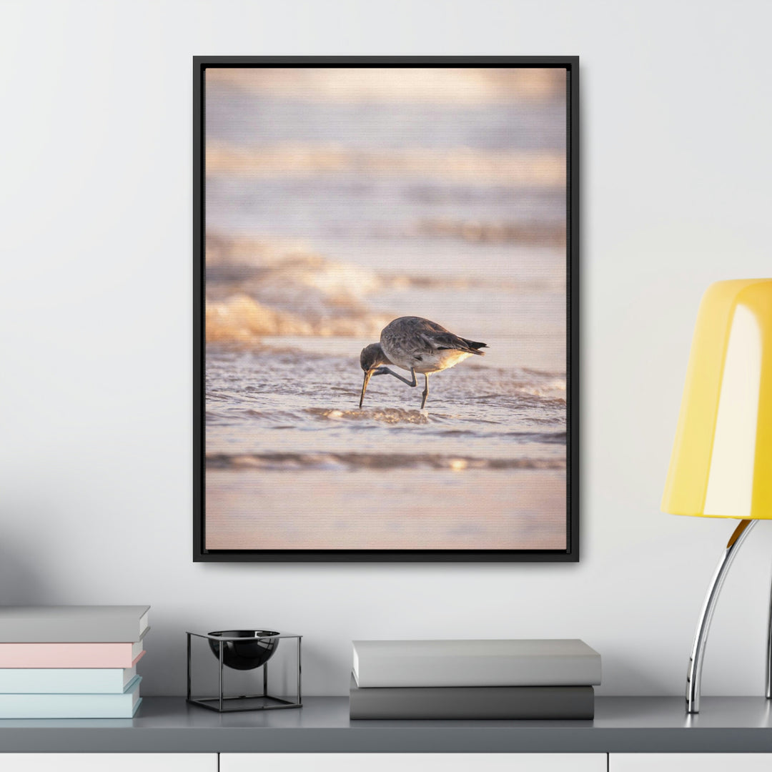 Willet Itch - Canvas with Frame