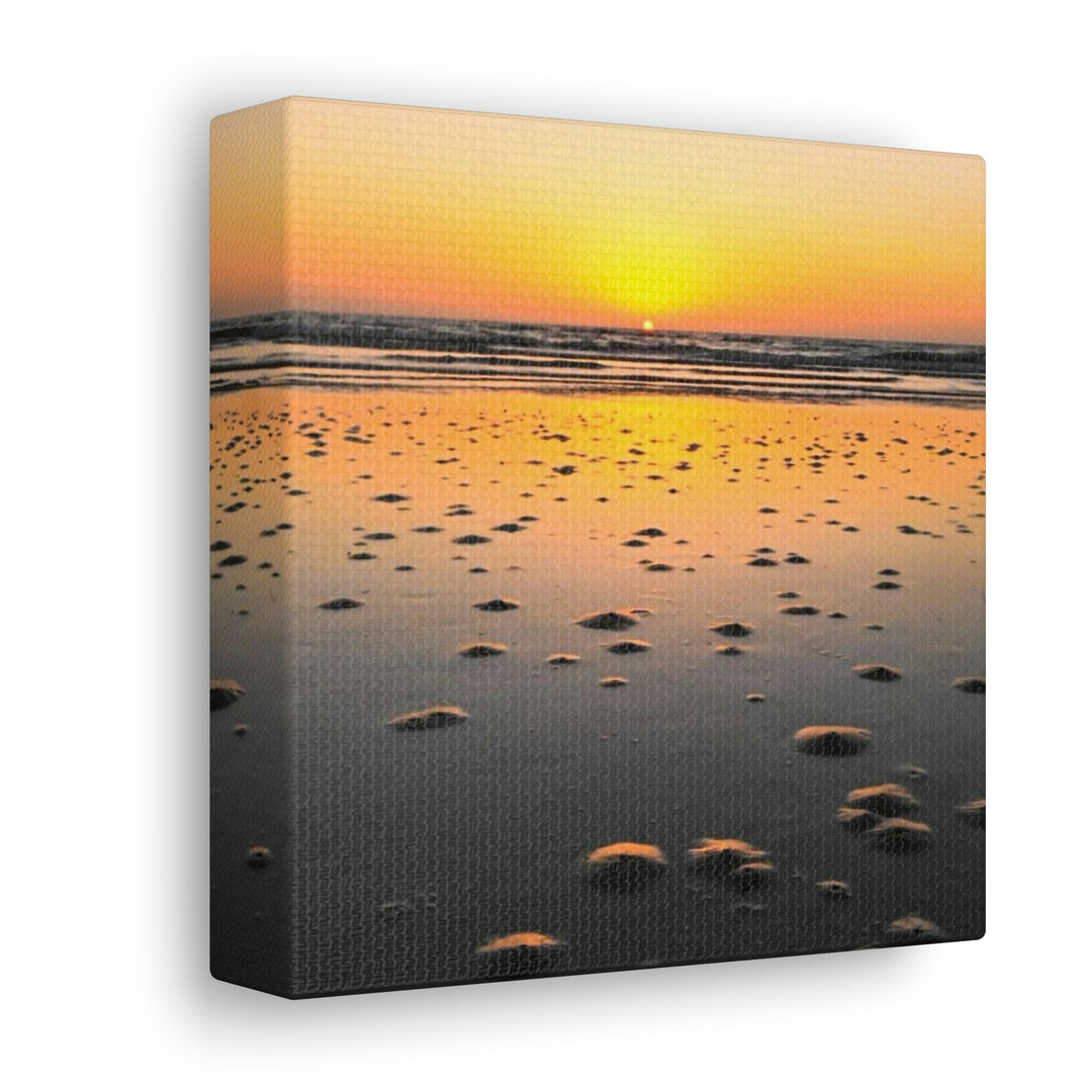 Burrows at Sunrise - Canvas