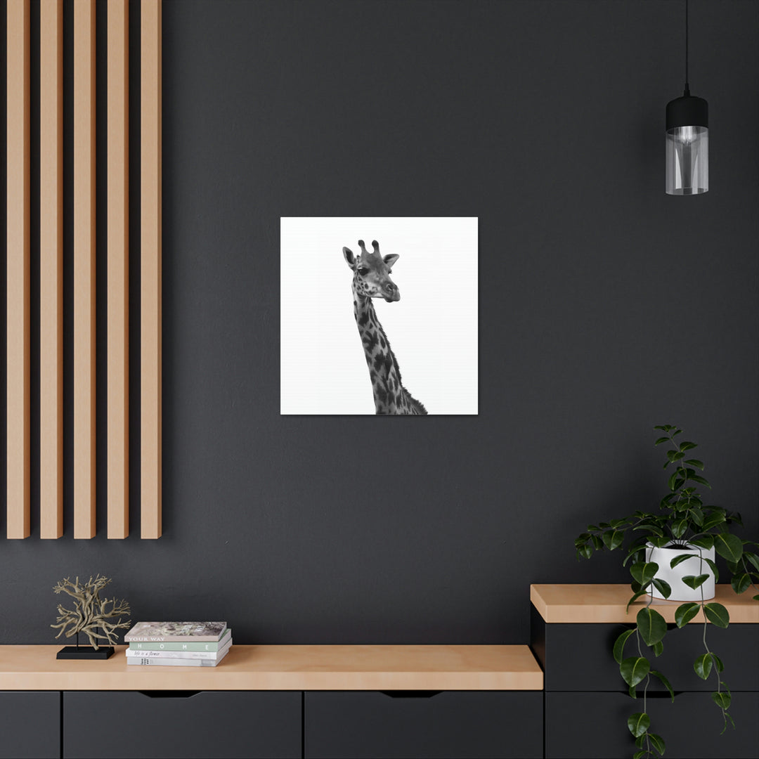 Giraffe Portrait in Black and White  - Canvas