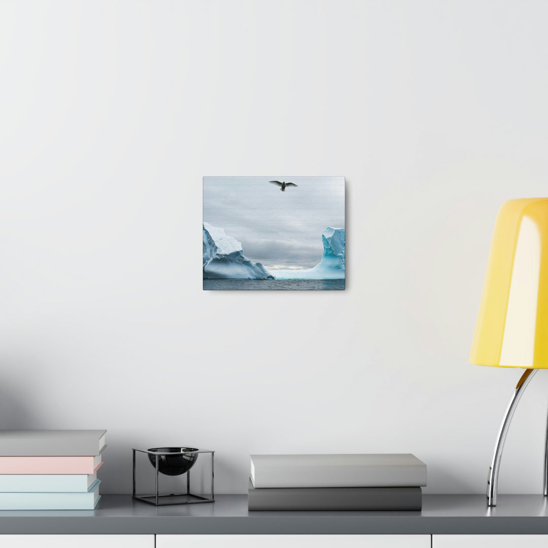 Antarctic Flight - Canvas