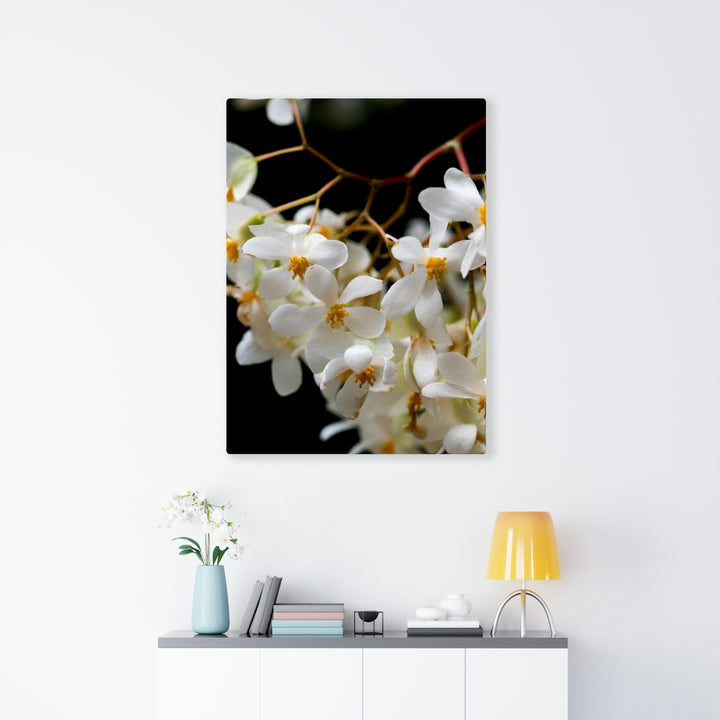 Floral Network - Canvas