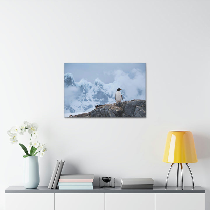 Poised Penguin - Canvas