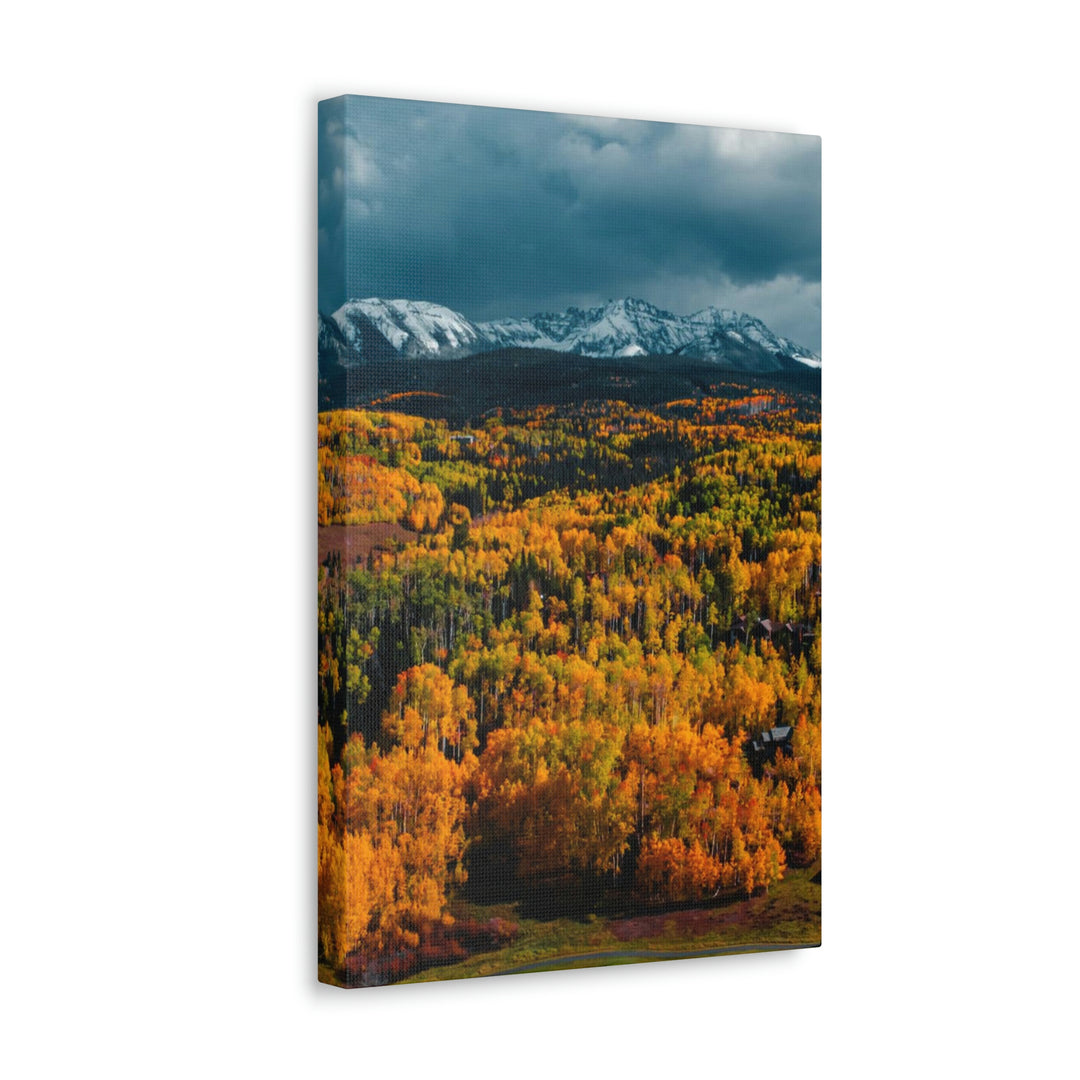 Golds of Autumn - Canvas