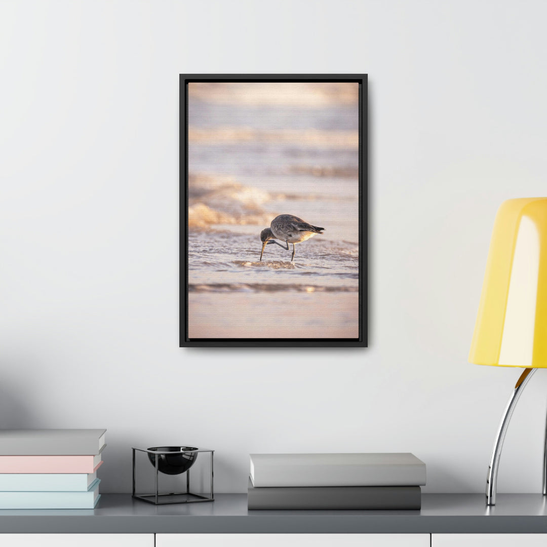 Willet Itch - Canvas with Frame