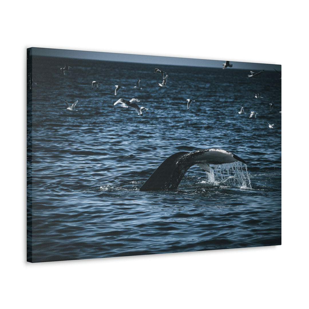 Feeding Tail - Canvas