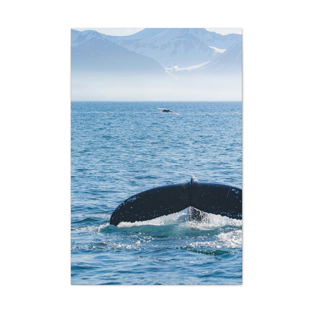 A Whale and A Mountain - Canvas