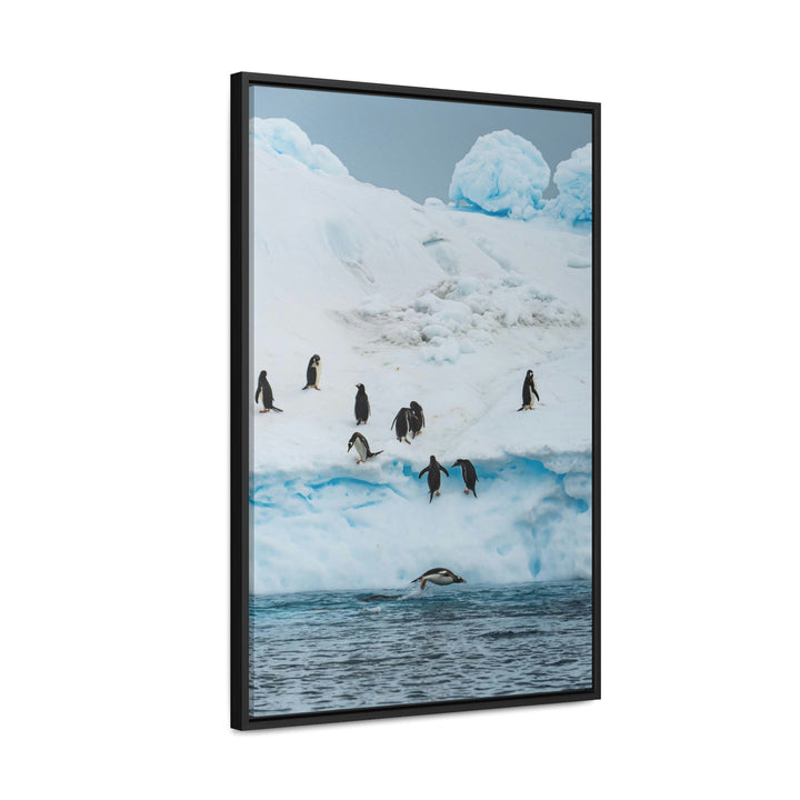 Porpoising Penguin - Canvas with Frame