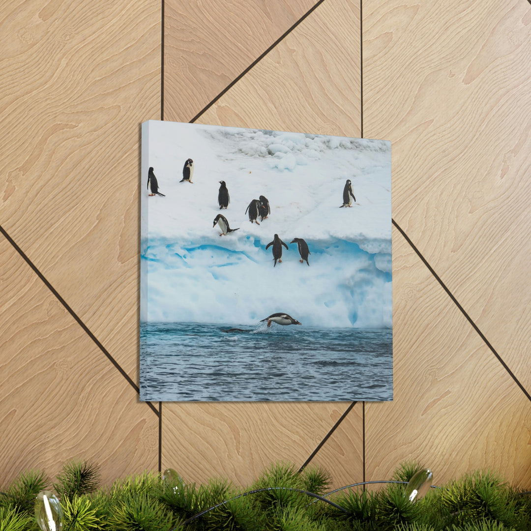 Porpoising Penguin - Canvas