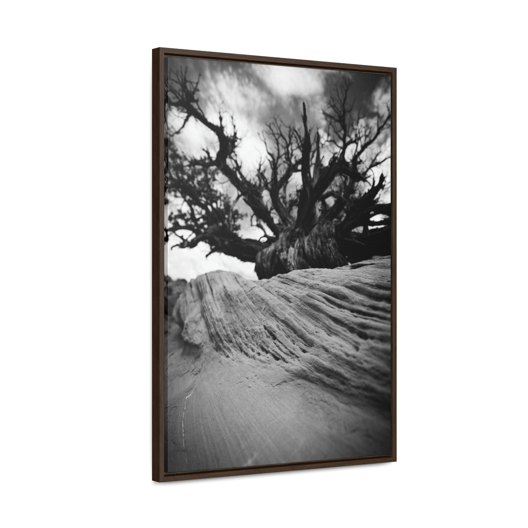 Desert Reach in Black and White - Canvas with Frame