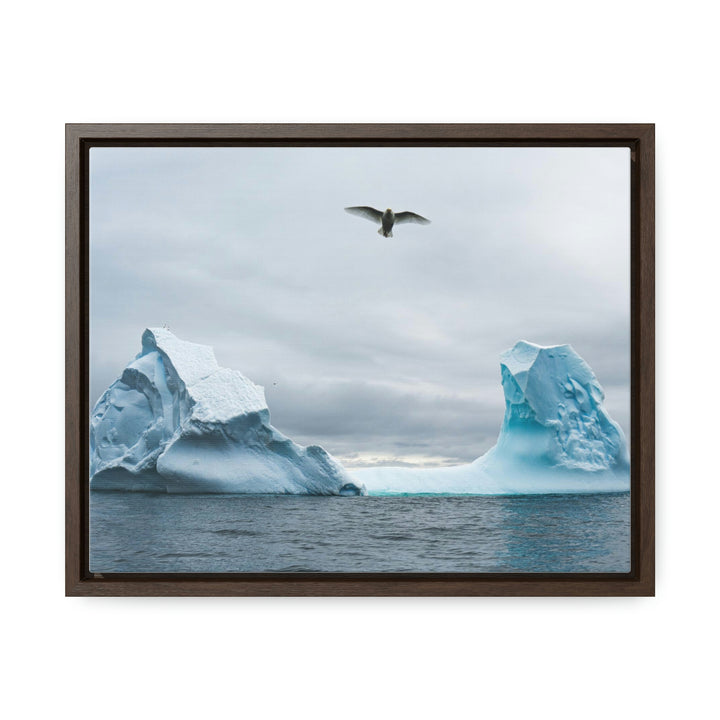 Antarctic Flight - Canvas with Frame