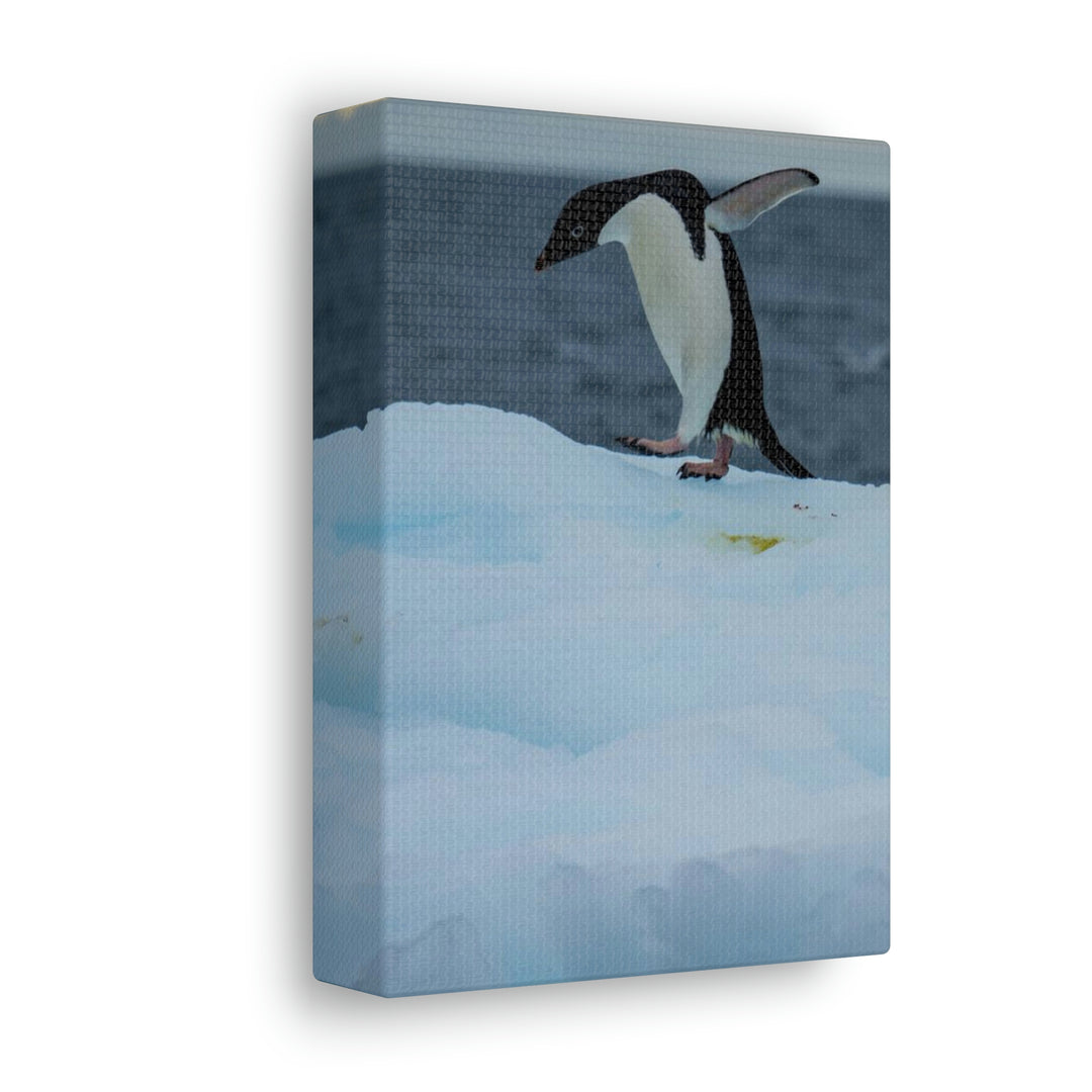 Penguin Dance - Canvas