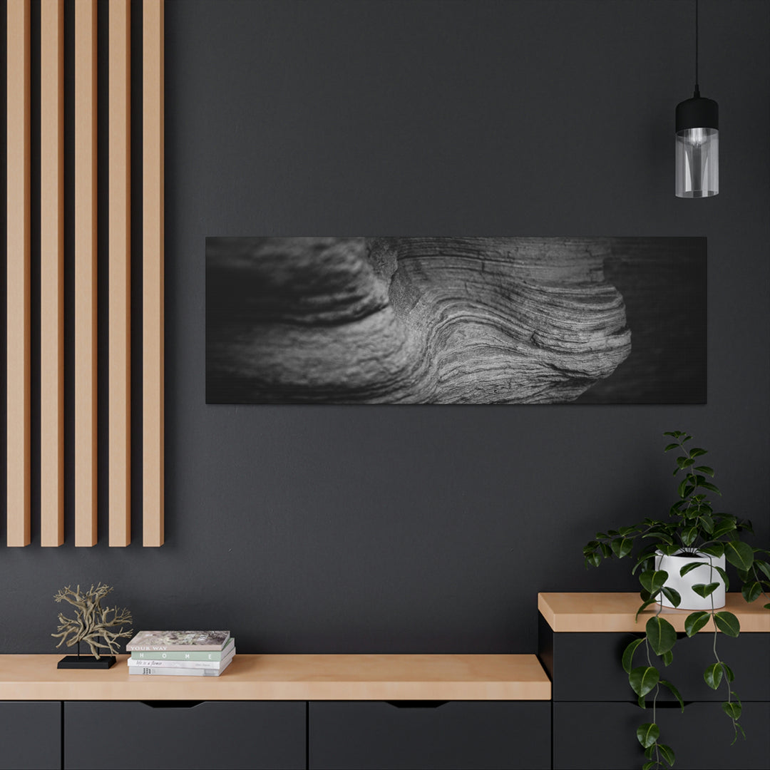 Sedimentary Rock Curves in Black and White - Canvas