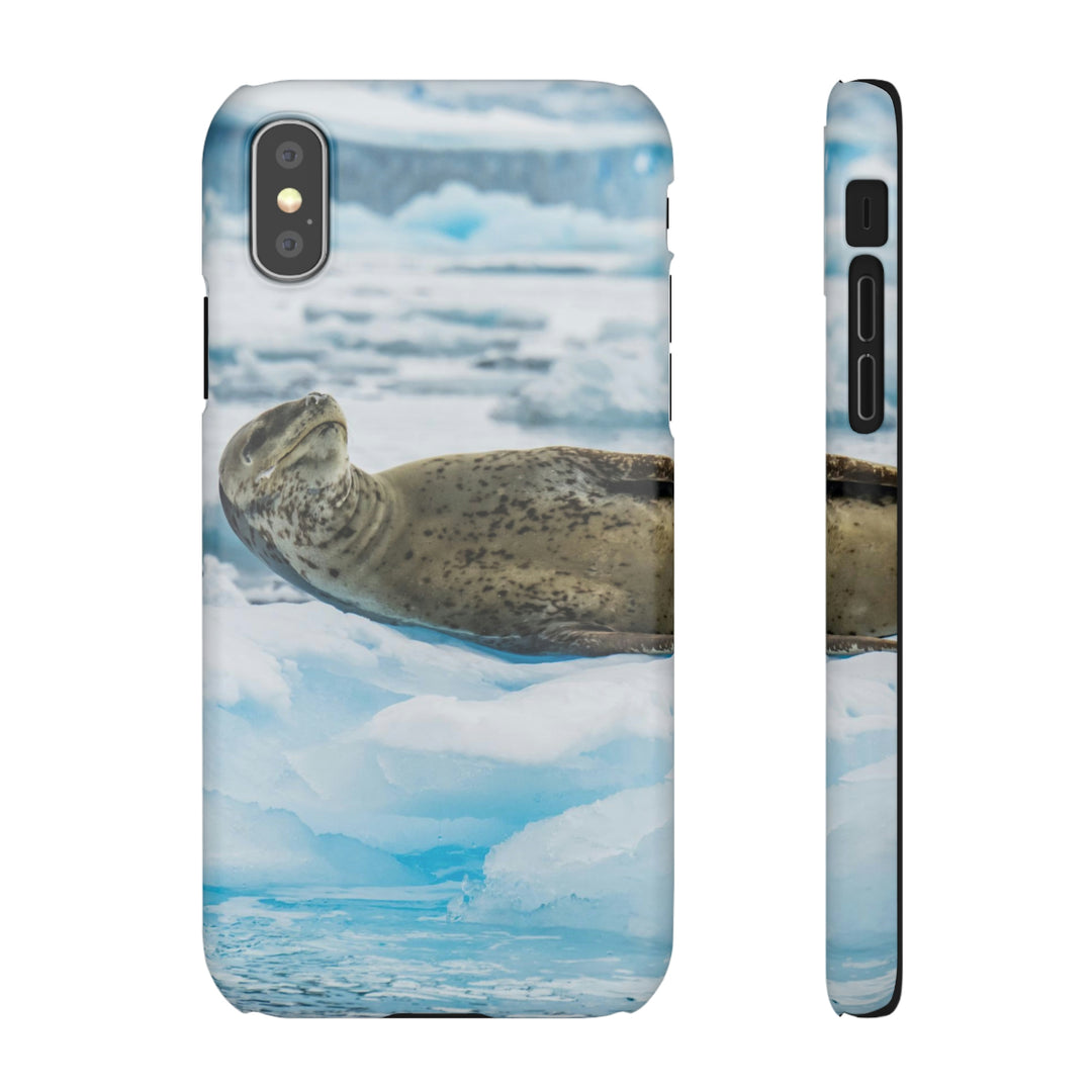 Leopard Seal Relaxing - Phone Case