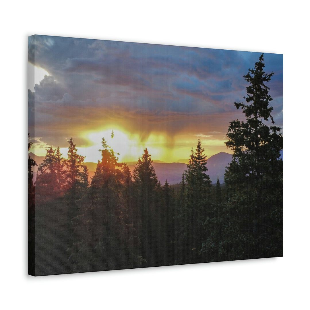 Rainy Sunset Through the Trees - Canvas