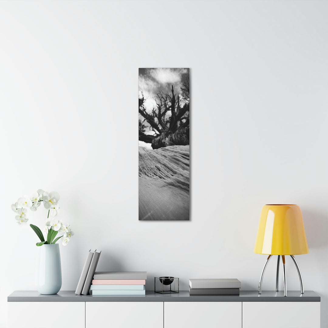 Desert Reach in Black and White - Canvas