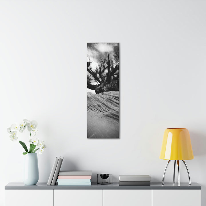 Desert Reach in Black and White - Canvas