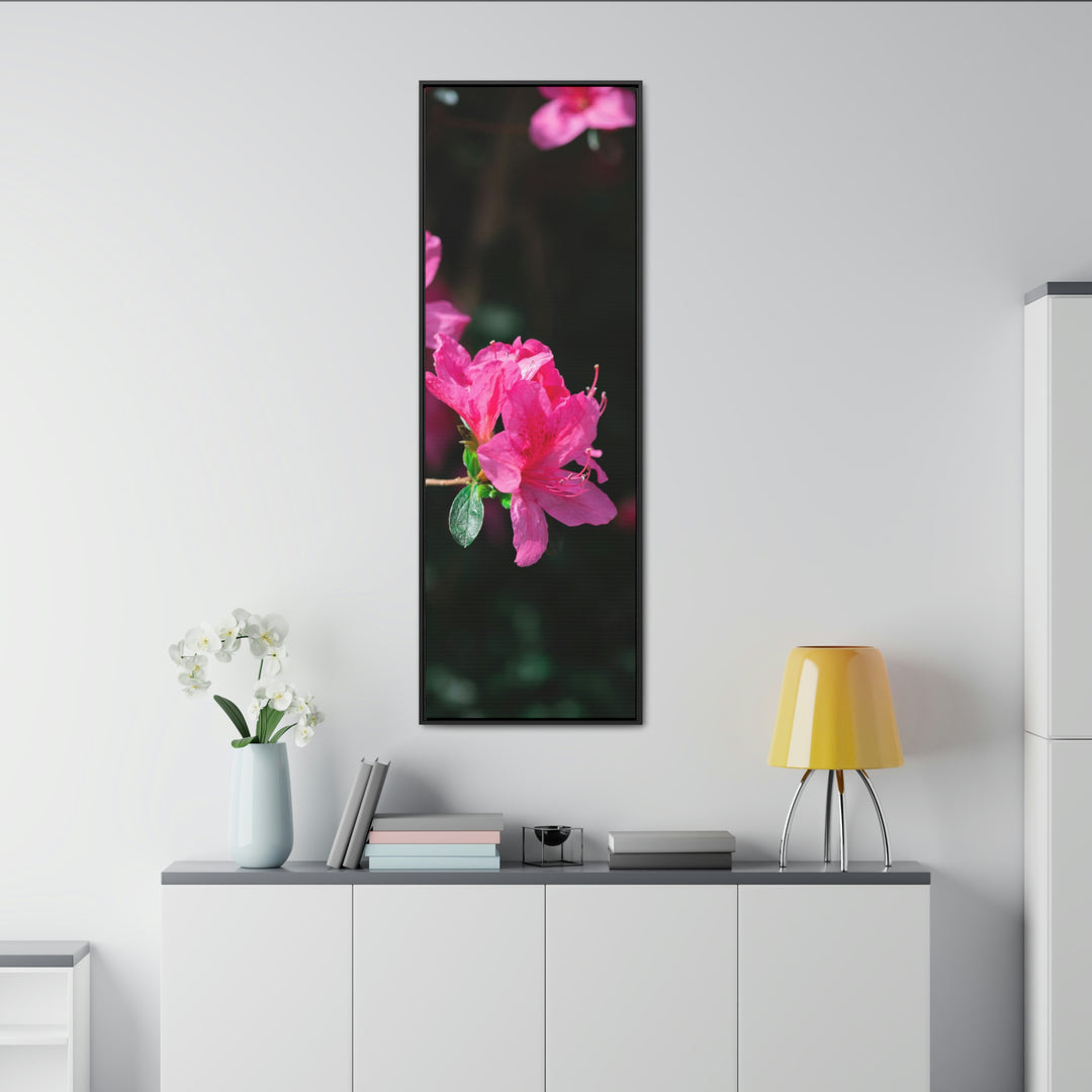 Standout Azalea - Canvas with Frame - Visiting This World