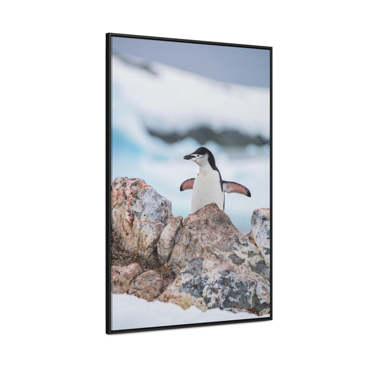 Stretched Penguin - Canvas with Frame