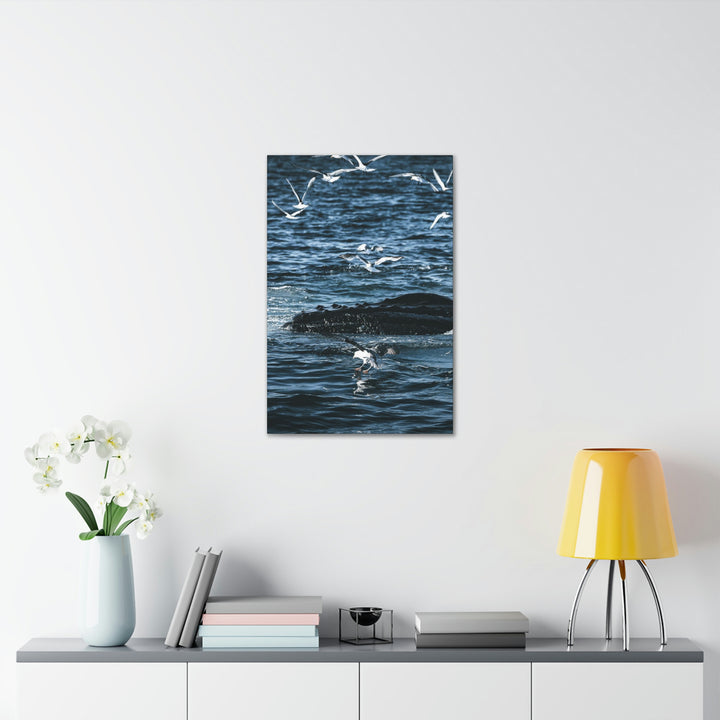 Humpback Hello - Canvas