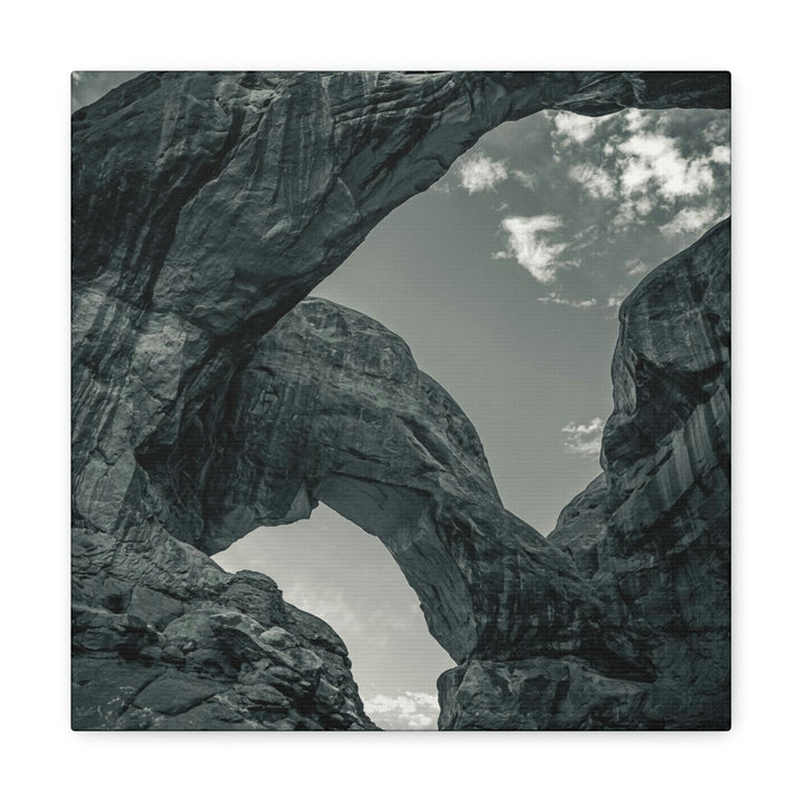 Natural Frames Part 4 in Black and White - Canvas