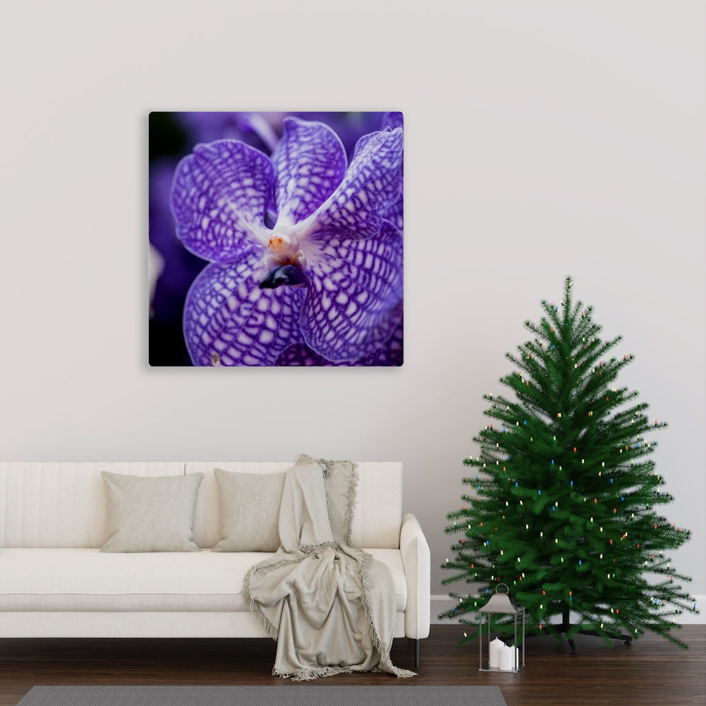 Orchid Detail - Canvas