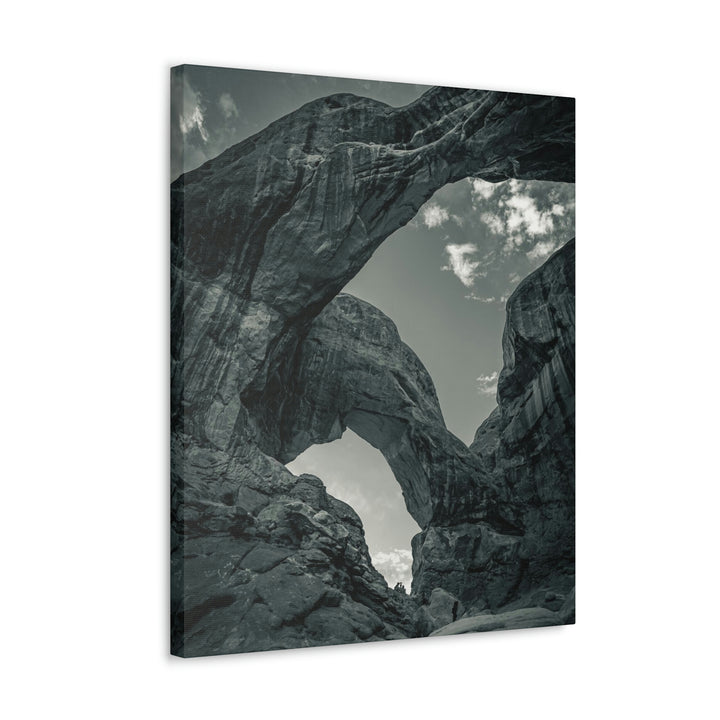 Natural Frames Part 4 in Black and White - Canvas