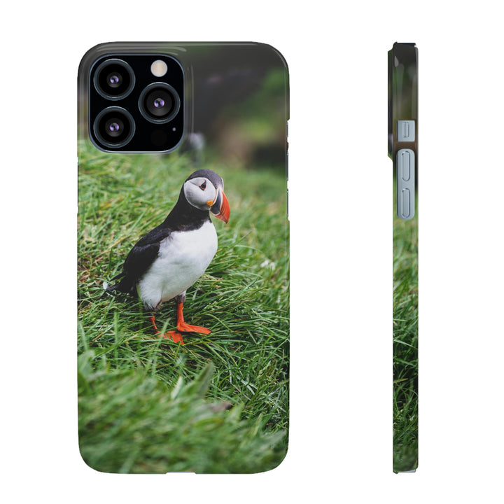 Curious Eye - Phone Case