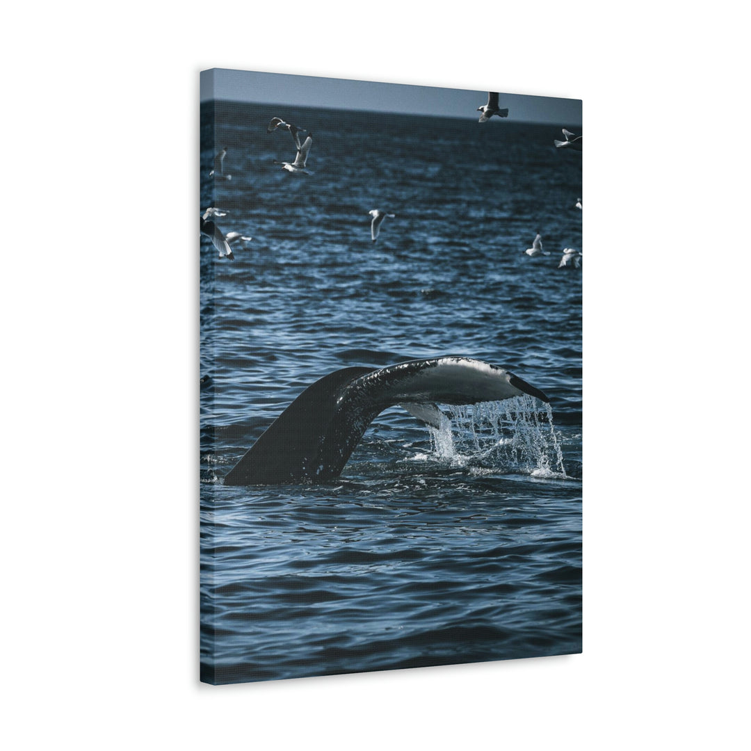 Feeding Tail - Canvas