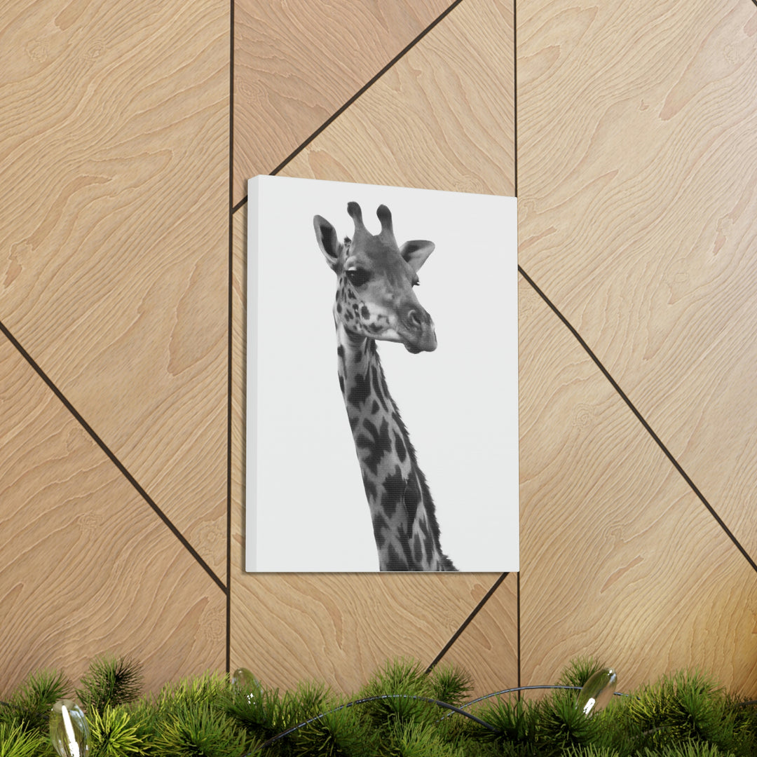 Giraffe Portrait in Black and White  - Canvas