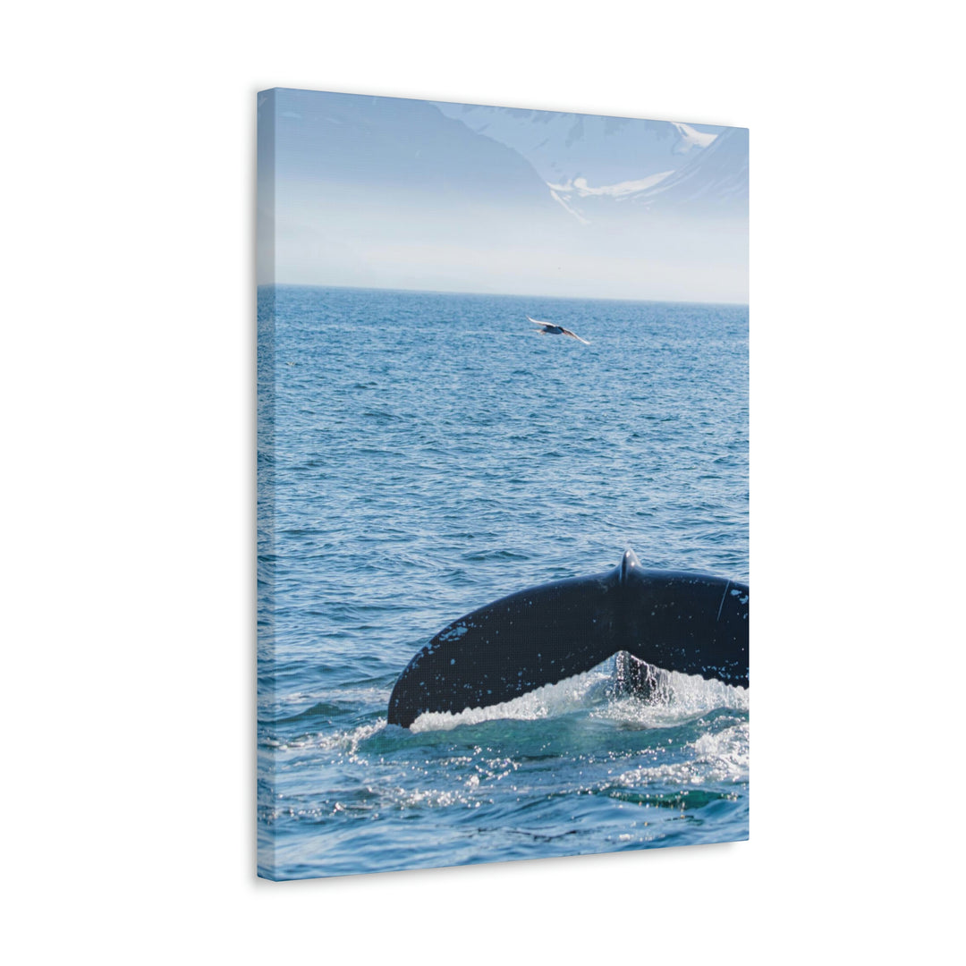 A Whale and A Mountain - Canvas