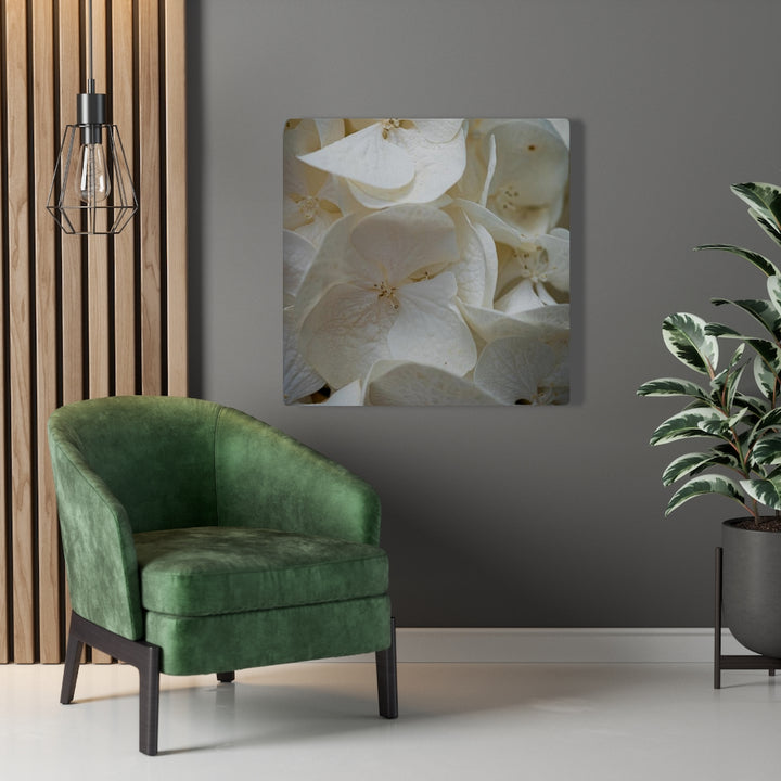 White Hydrangea Detail - Canvas