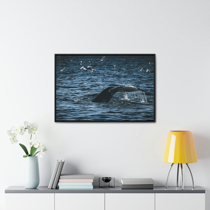 Feeding Tail - Canvas with Frame