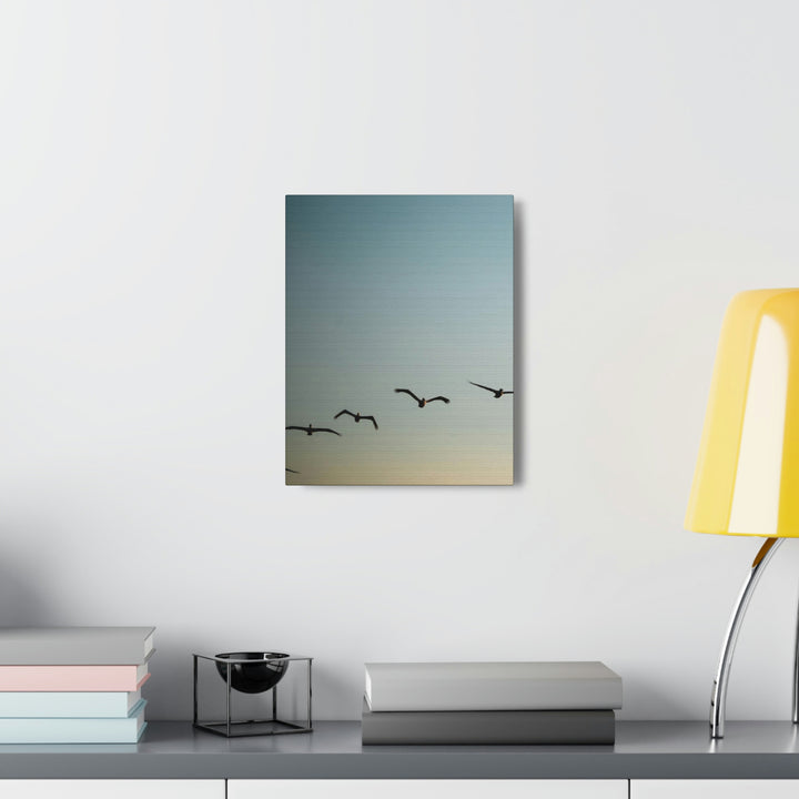 Brown Pelicans in Flight - Canvas