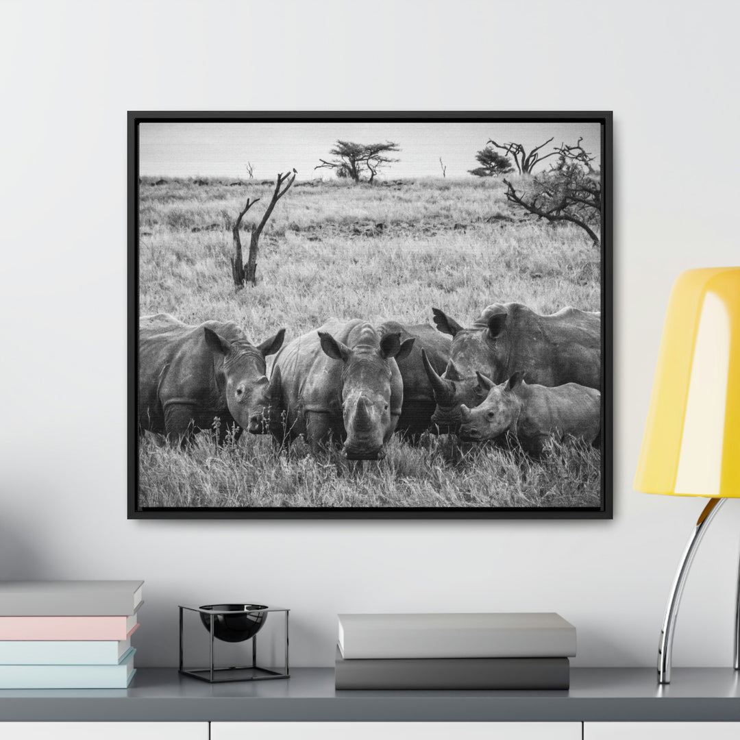 Rhino Family in Black and White - Canvas with Frame