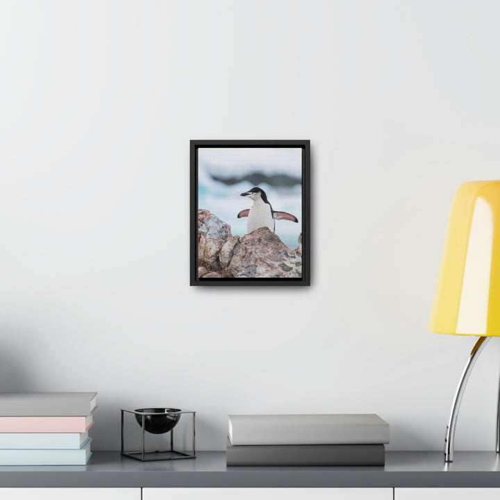 Stretched Penguin - Canvas with Frame