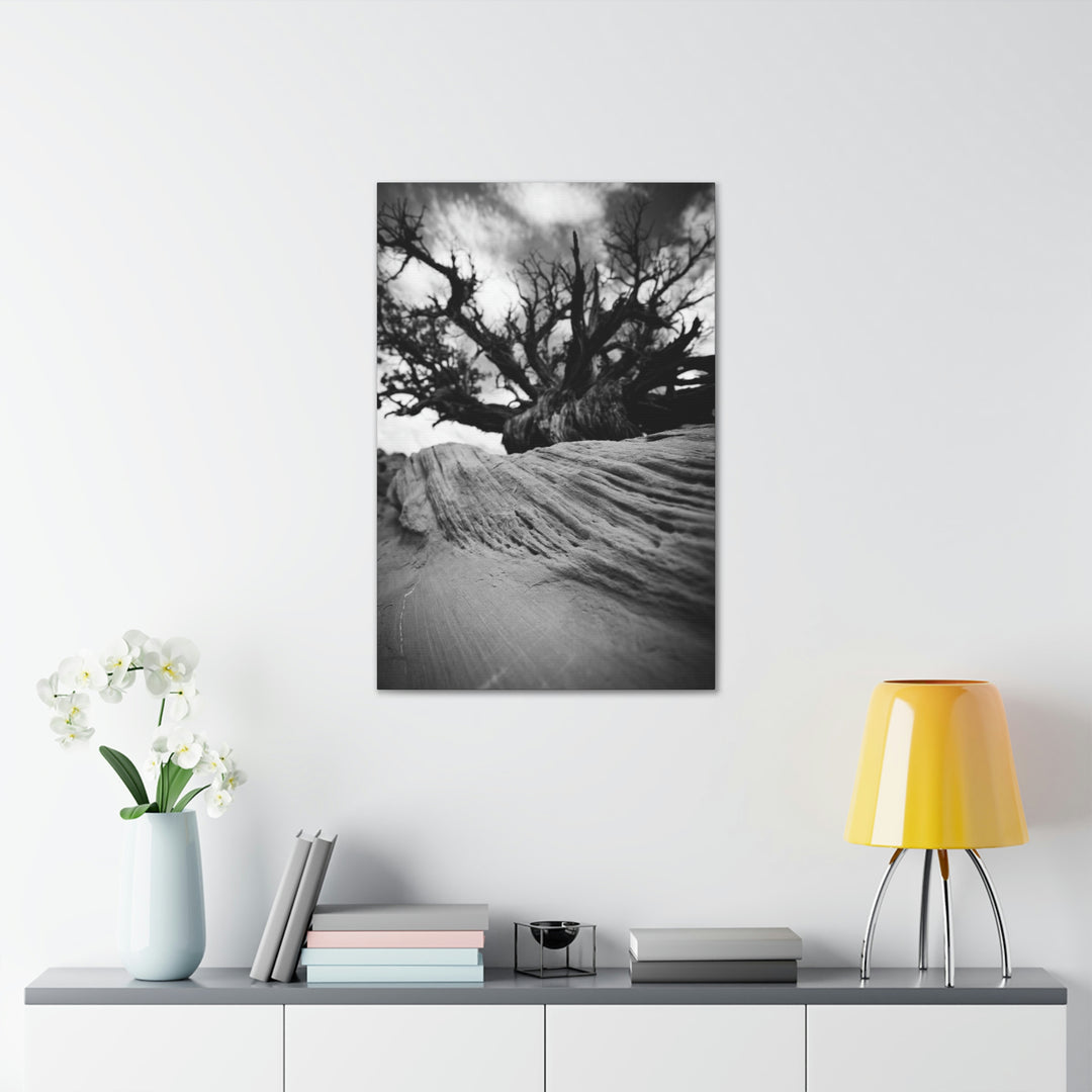 Desert Reach in Black and White - Canvas