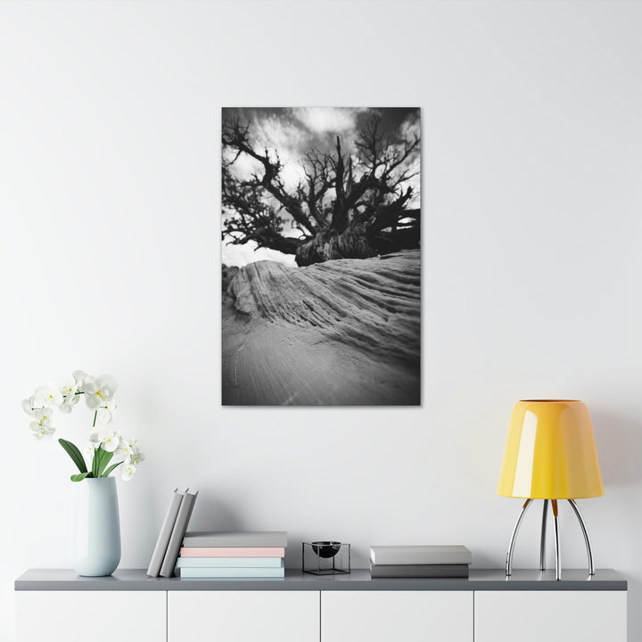 Desert Reach in Black and White - Canvas