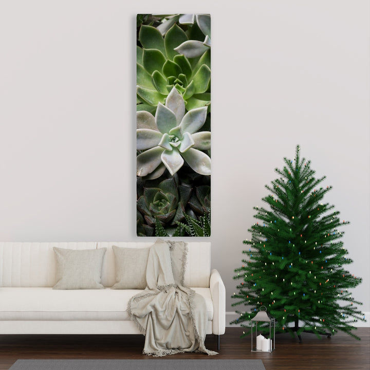 Succulent - Array - Canvas