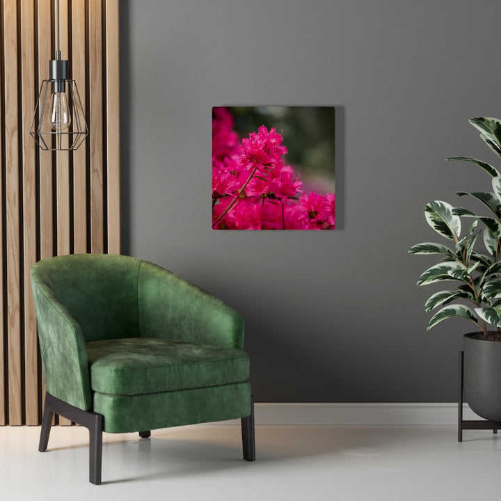 Full Bloom - Canvas